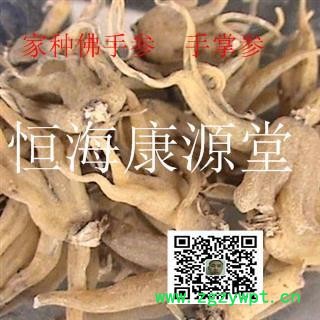 手掌参 手掌参选货 产地 四川省阿坝藏族羌族自治州图3