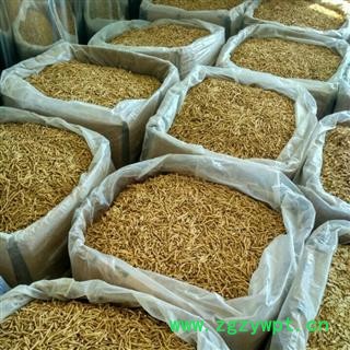 西洋参须 进口西洋参根须 粗须 根须 泡酒 海外加拿大产地货源 批发价格 养生滋补 保证质量 打造口碑图4