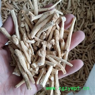 西洋参须 西洋参粗须 粗须 根须 吉林长白山 泡酒 产地货源 批发价格 养生滋补 保证质量 打造口碑图2