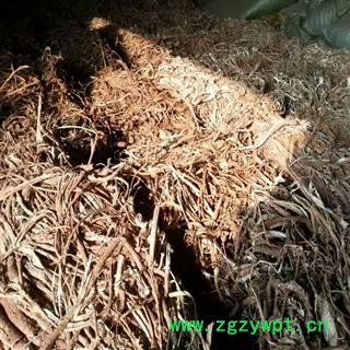 桑白皮 统 四川省图3