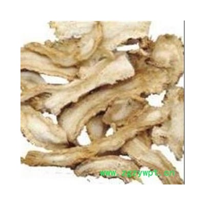 当归 大统片 产地 甘肃省定西市