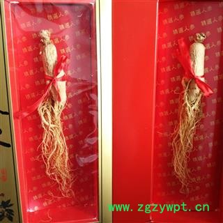 人参 无硫生晒参盒装单支重20-25克精美礼盒 产地 吉林省白山市抚松县图2