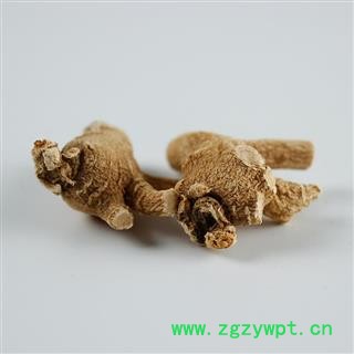 西洋参 西洋参10-12g粒头 产地 吉林省白山市抚松县图3