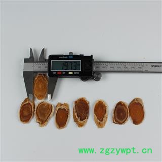 红参 纯无糖红参大片 产地 吉林省白山市抚松县图3