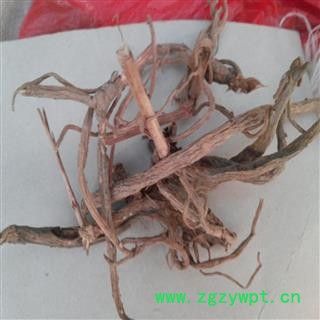 香白芷 （隔山香）统货 产地 广西壮族自治区钦州市市辖区图2