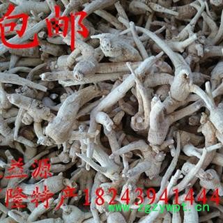 西洋参 统货【小支】 产地 吉林省白山市抚松县，产地直供，假一赔十图3