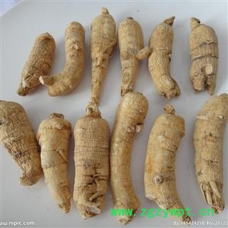 西洋参 统货【小支】 产地 吉林省白山市抚松县，产地直供，假一赔十图2