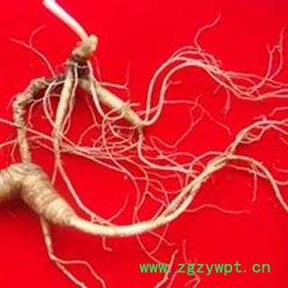 人参 野山参35克左右 产地 吉林省白山市抚松县图3