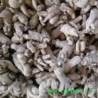 西洋参 特大短支15-18克 产地 吉林省白山市抚松县图2