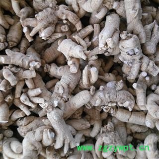 西洋参 特大短支15-18克 产地 吉林省白山市抚松县图3