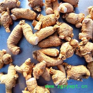 西洋参 西洋参粒头5-7克产地直供假一赔十 产地 吉林省白山市抚松县图3