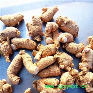 西洋参 西洋参粒头5-7克产地直供假一赔十 产地 吉林省白山市抚松县图2