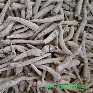 西洋参 小【长支】 产地 吉林省白山市抚松县产地直供，假一赔十图3