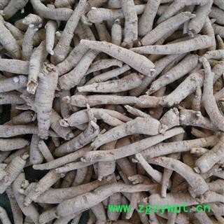 西洋参 小【长支】 产地 吉林省白山市抚松县产地直供，假一赔十图2