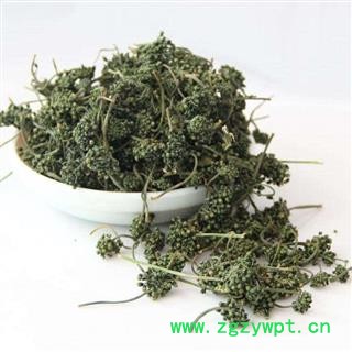 人参 人参花统货 产地 吉林省白山市图4