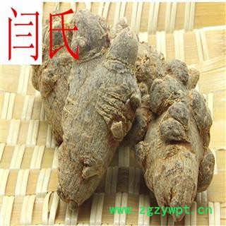 三七 精品水洗三七30头  产地 云南省图4