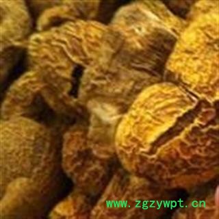 正品野生优质金果榄 产地贵州 批发零售各种中药材图3