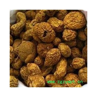 正品野生优质金果榄 产地贵州 批发零售各种中药材