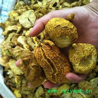 正品野生优质金果榄 产地贵州 批发零售各种中药材图2