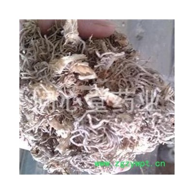 问心堂药业供应韭菜根