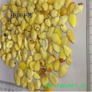 白果仁图3