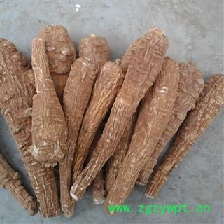 川白芷之遂宁白芷红皮选装一二三级  道地白芷 产地直销 常年有大货 遂宁市船山区图2