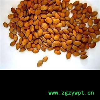 （包邮）特级云南桃仁桃仁 产地云南省文山壮族苗族自治州文山县  库存2000公斤 可售