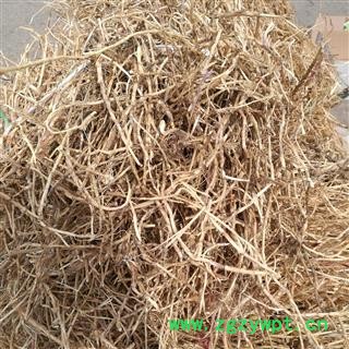 白茅根 山东平邑 大货优惠 原货 一级图2