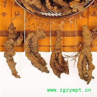 中药材 黄连 黄连片 川黄连 正品鸡爪黄连图4