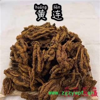中药材 黄连 黄连片 川黄连 正品鸡爪黄连