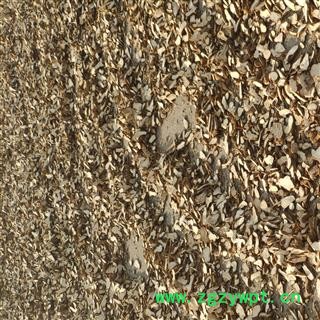 白术 统 产地 安国  自产自销一手货源图3