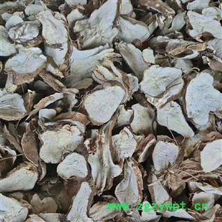 白术 统 产地 安国  自产自销一手货源图4