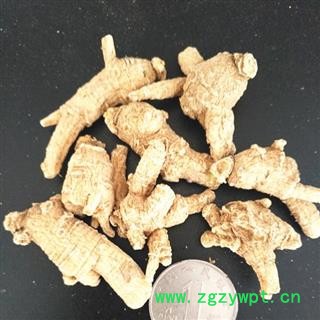 西洋参 西洋参，花旗参小短粒1-2克 产地 吉林省白山市抚松县图2