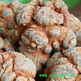 三七22头 水洗三七 标准22头春七  水洗 足干 未打蜡 （1斤正好22个）( 下单送量勺 ) 产地直销 云南省文山壮族苗族自治州文山县图3