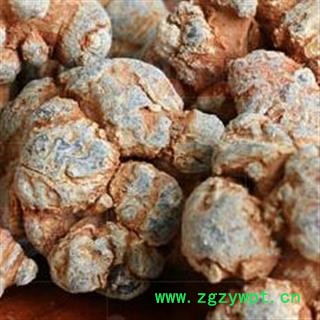 三七22头 水洗三七 标准22头春七  水洗 足干 未打蜡 （1斤正好22个）( 下单送量勺 ) 产地直销 云南省文山壮族苗族自治州文山县图2