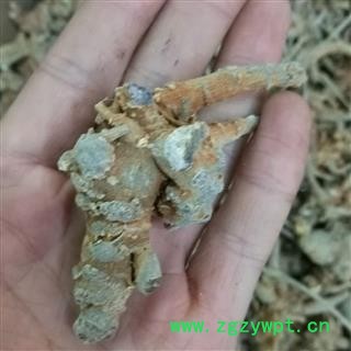 三七30头 水洗三七 全枝三七30头（1斤正好30个）足头   下单送量勺   道地药材产地 云南省文山壮族苗族自治州文山县图2