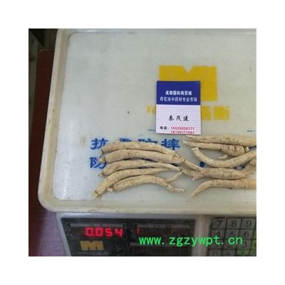 西洋参5克长支 国产5克长支 产地 吉林省白山市抚松县