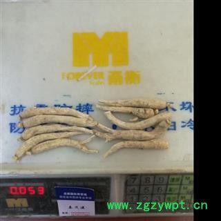 西洋参5克长支 国产5克长支 产地 吉林省白山市抚松县图2