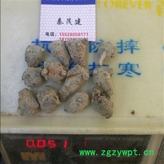 三七120头 水洗三七120头春七 滑头 足干 未打蜡 （1斤正好120个）( 下单送量勺 )  产地直销 云南省文山壮族苗族自治州文山市图2