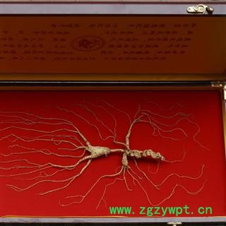 人参 长白山25以上野山参，12克左右，产地直供，纯正品，假一赔十图2