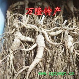 人参 长白山林下山参8克 15年以上，纯正品图3