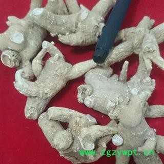 西洋参 西洋参粒头20-30g纯正进口花旗参 产地 吉林省白山市抚松县图3