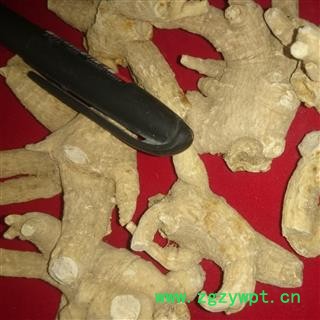 西洋参 西洋参粒头20-30g纯正进口花旗参 产地 吉林省白山市抚松县图2