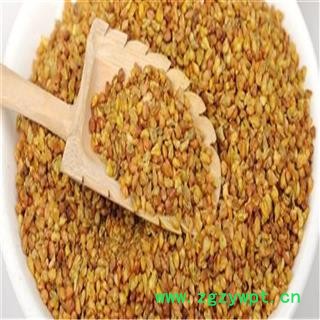 金荞麦 统 产地 四川省荞麦茶图4