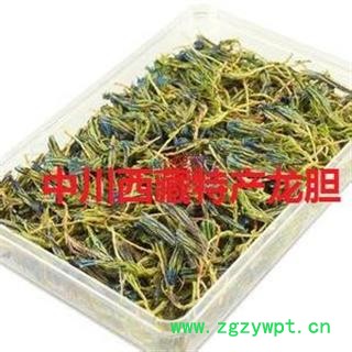 龙胆花   西藏野生特产  库 存500图3