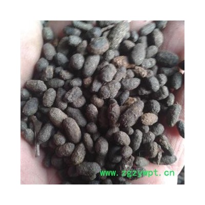 五灵脂 一级统货  产地山西   库存5