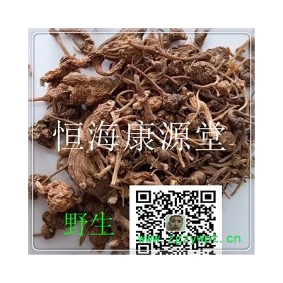 恒海康源堂珠儿参 珠子参 钮子七扣子七