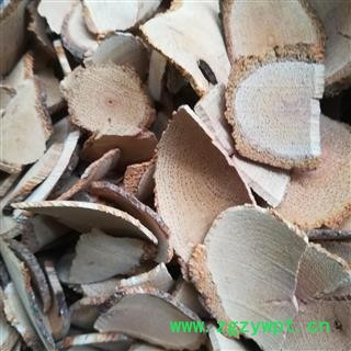 恒海公司康源堂猕猴桃根 雄洋桃根 雄杨桃根 藤梨根图2