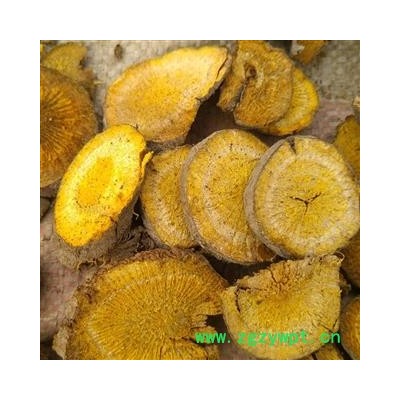 虎杖 虎杖斜片统片  湖南省邵阳市邵东县