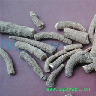 川白芷之遂宁白芷红皮无硫小统货 道地白芷 常年有大货 产地直销 遂宁市船山区图2